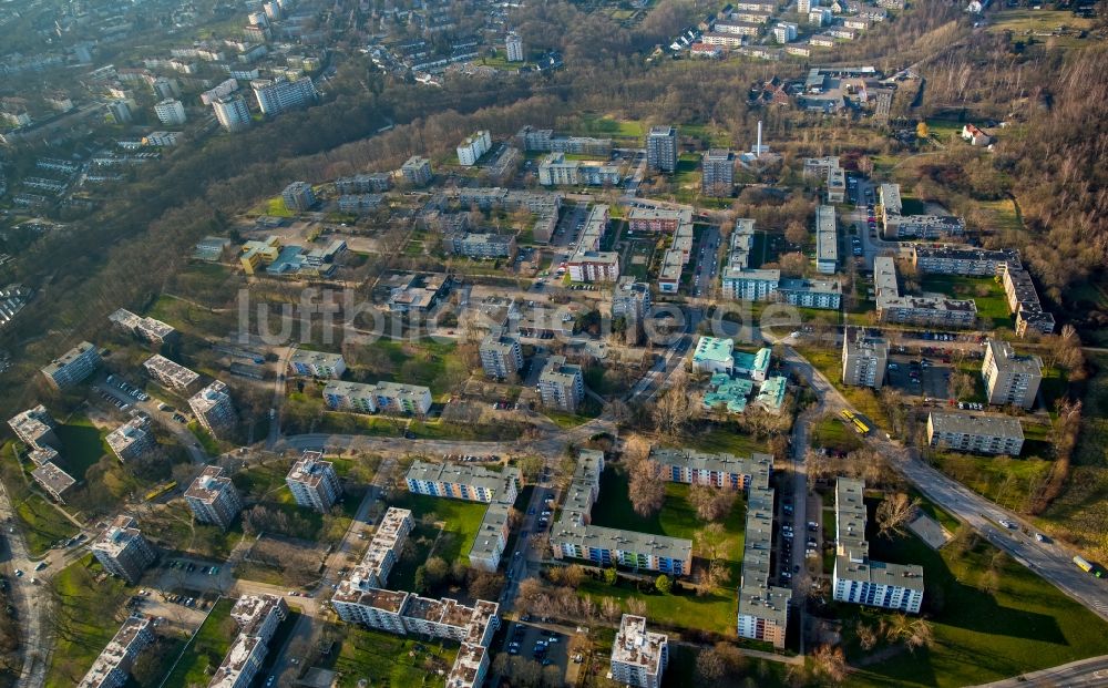 Luftaufnahme Essen - Hochhaus- Wohngebietssiedlung Bergmannsfeld im Stadtteil Horst in Essen im Bundesland Nordrhein-Westfalen