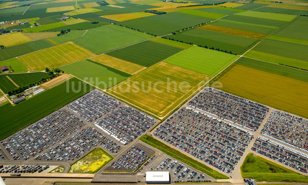 Luftbild Zülpich - Hochregal- Lager-Gebäudekomplex und Logistikzentrum auf dem Gelände der Wallenius Wilhelmsen ASA in Zülpich im Bundesland Nordrhein-Westfalen, Deutschland