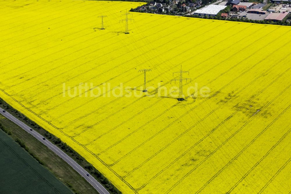 Luftaufnahme Werneuchen - Hochspannungsmasten und Stromleitungen auf einem gelb blühenden Rapsfeld in Werneuchen im Bundesland Brandenburg