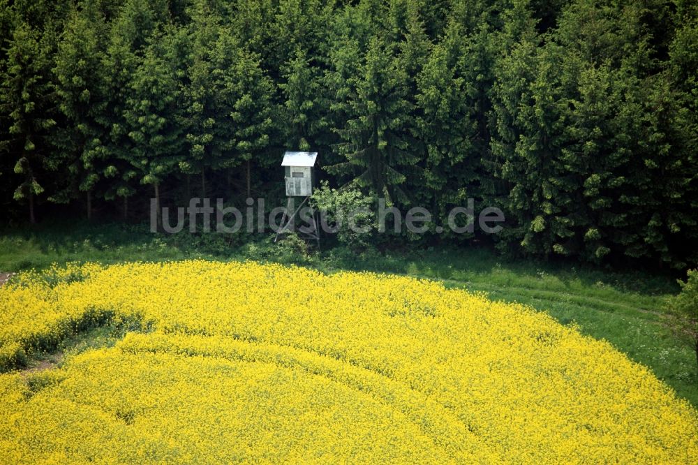 Luftbild Paska - Hochstand bei einem Rapsfeld in Paska im Bundesland Thüringen