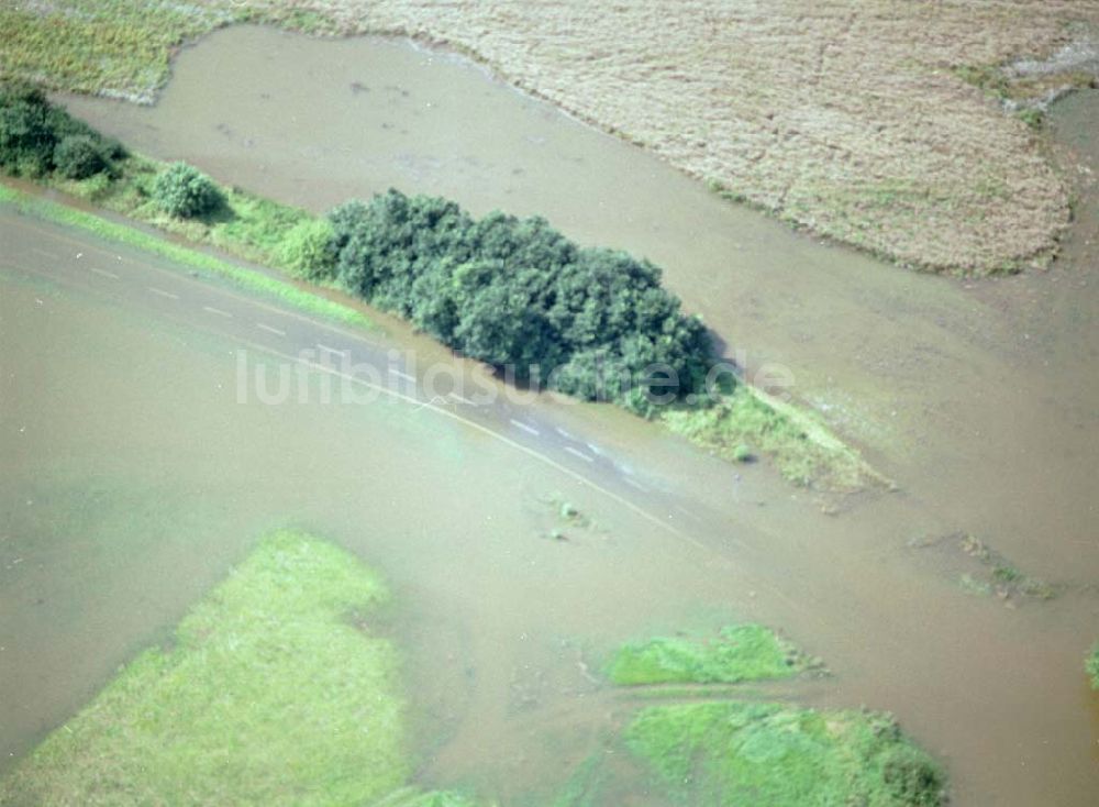 Luftbild Magdeburg - 16.08.2002 Hochwasser am Elbebereich Magdeburg