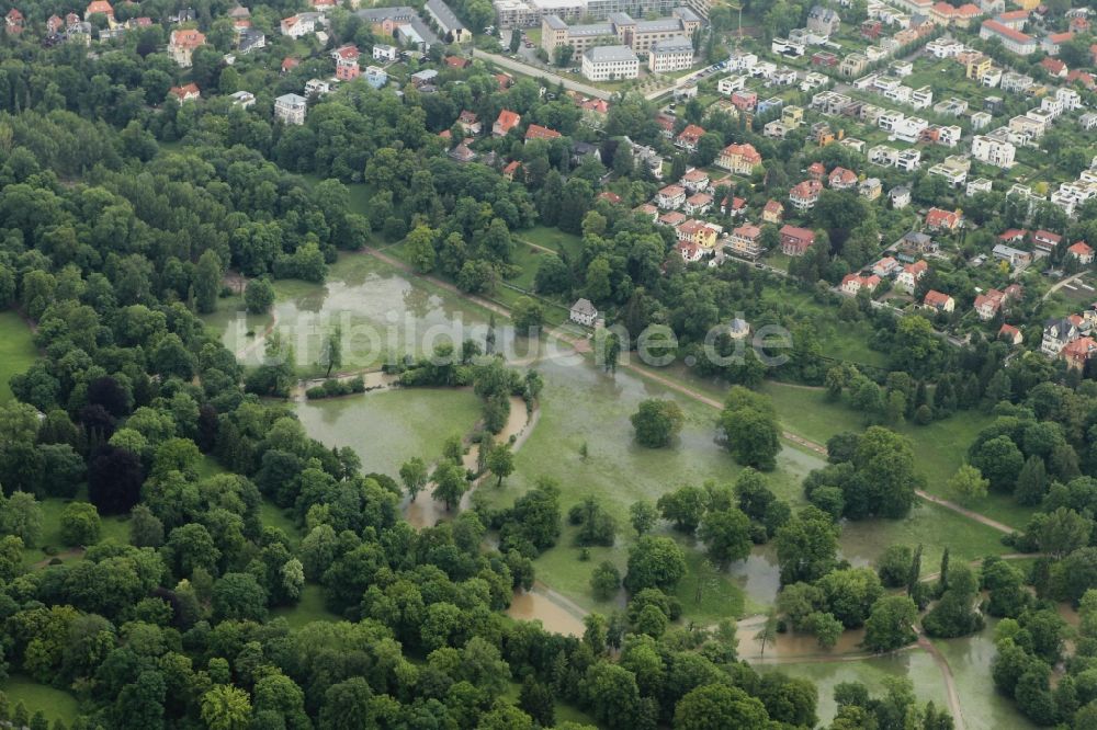 Luftbild Weimar - Hochwasser Flut Katastrophe mit Überflutung des Ilmpark am überlaufenden Fluss Ilm in Weimar im Bundesland Thüringen