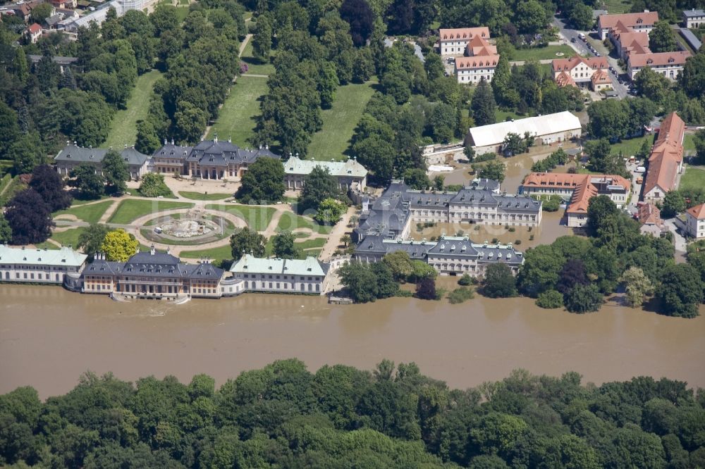 Pillnitz aus der Vogelperspektive: Hochwasser Flut Katastrophe mit Überflutung am Schloss Pillnitz am Ufer der Elbe und Umland bei Pillnitz im Bundesland Sachsen