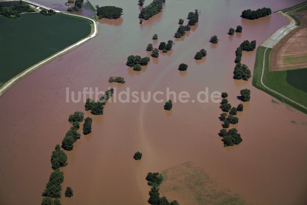 Belgern aus der Vogelperspektive: Hochwasser Flut Katastrophe mit Überflutung der Ufer der Elbe und Umland bei Belgern im Bundesland Sachsen