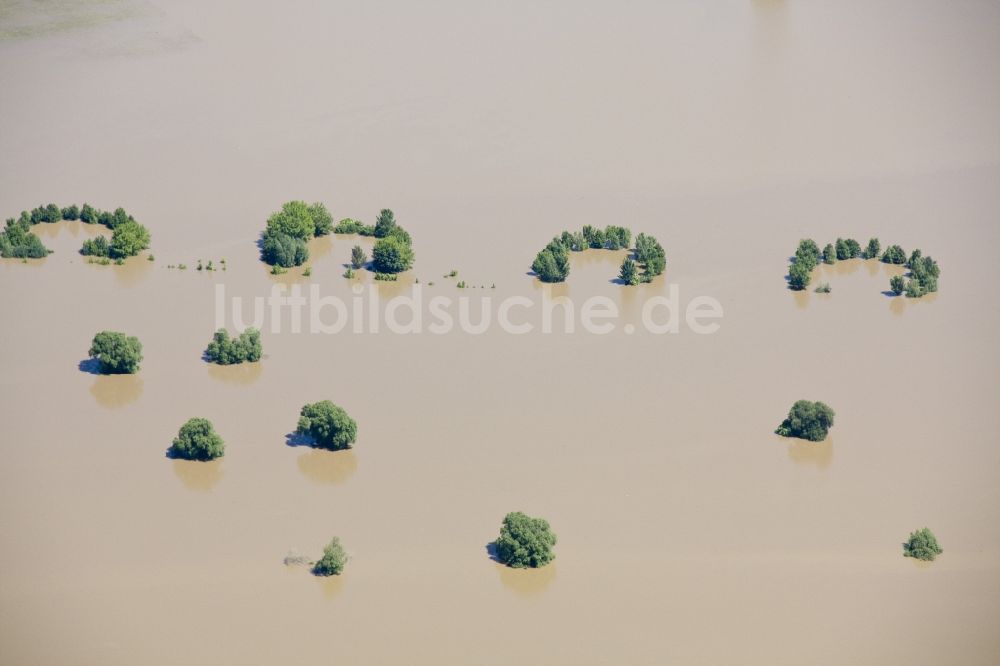 Torgau von oben - Hochwasser Flut Katastrophe mit Überflutung der Ufer der Elbe im Umland bei Torgau im Bundesland Sachsen