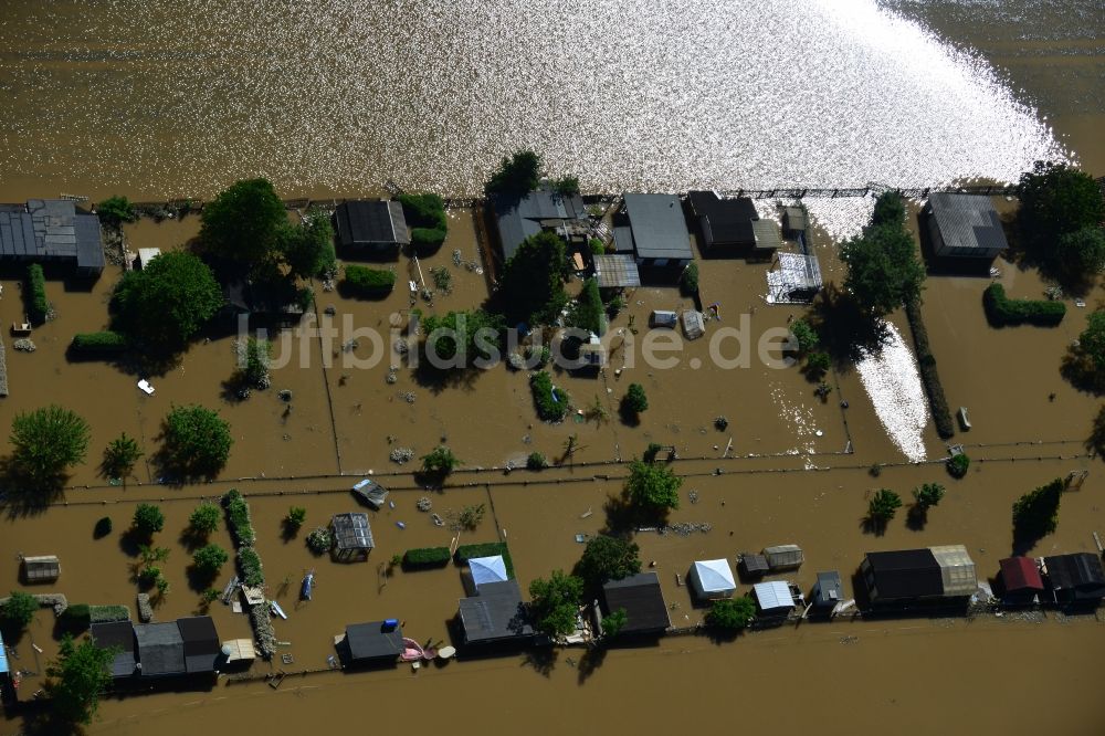 Luftbild Milbitz - Hochwasser Flut Katastrophe mit Überflutung der Ufer der Elster und Umland bei Milbitz im Bundesland Thüringen