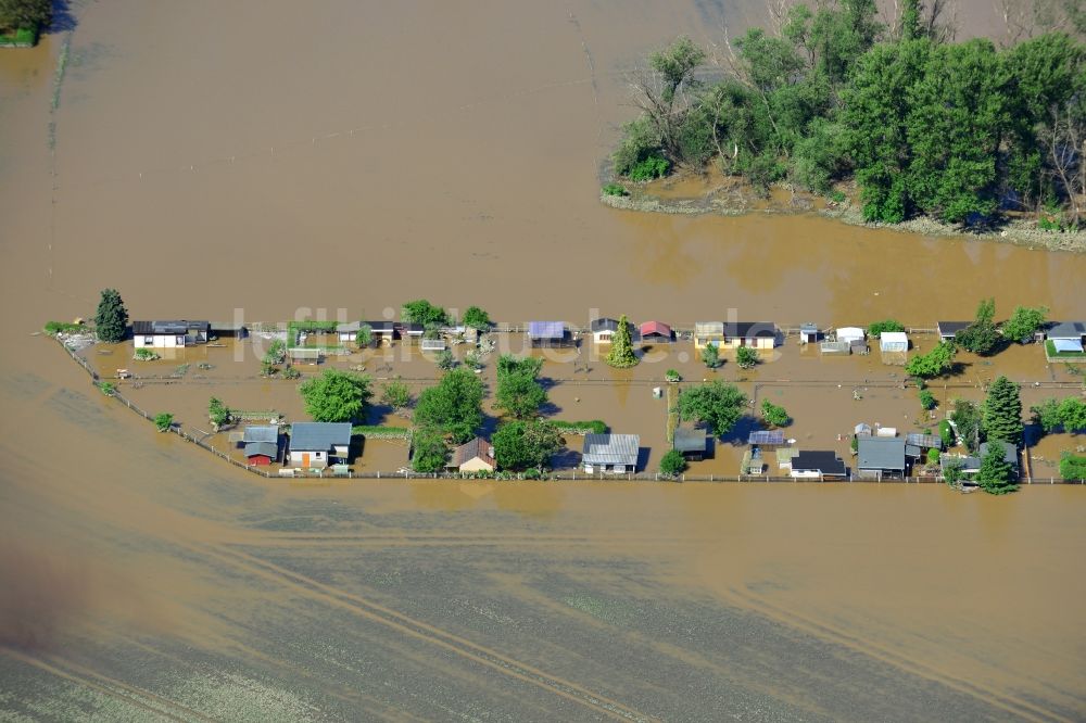 Luftaufnahme Milbitz - Hochwasser Flut Katastrophe mit Überflutung der Ufer der Elster und Umland bei Milbitz im Bundesland Thüringen