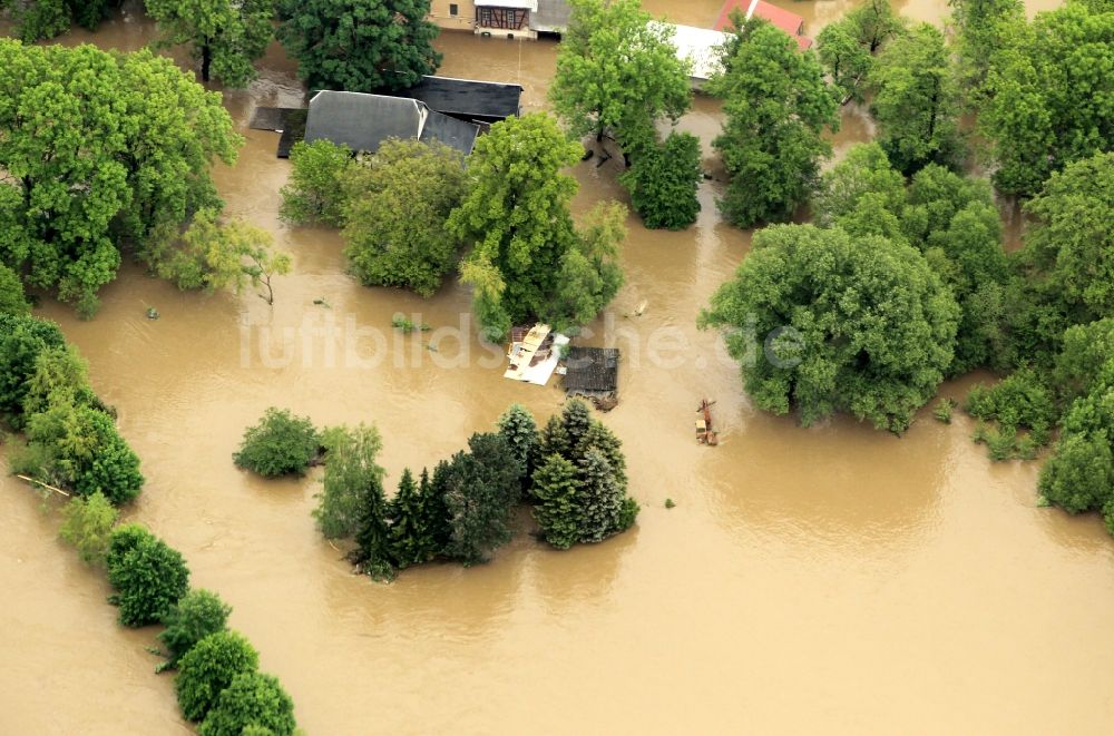 Luftaufnahme Berga - Hochwasser Flut Katastrophe mit Überflutung der Ufer des Fluß Weiße Elster und Flutung von Stadtteilen in Berga im Bundesland Thüringen