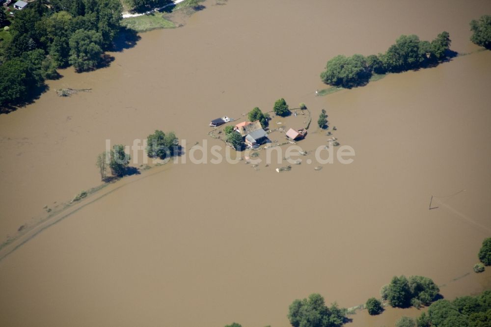 Wurzen von oben - Hochwasser Flut Katastrophe mit Überflutung der Ufer der Mulde und eingeschlossenen Häusern bei Wurzen im Bundesland Sachsen