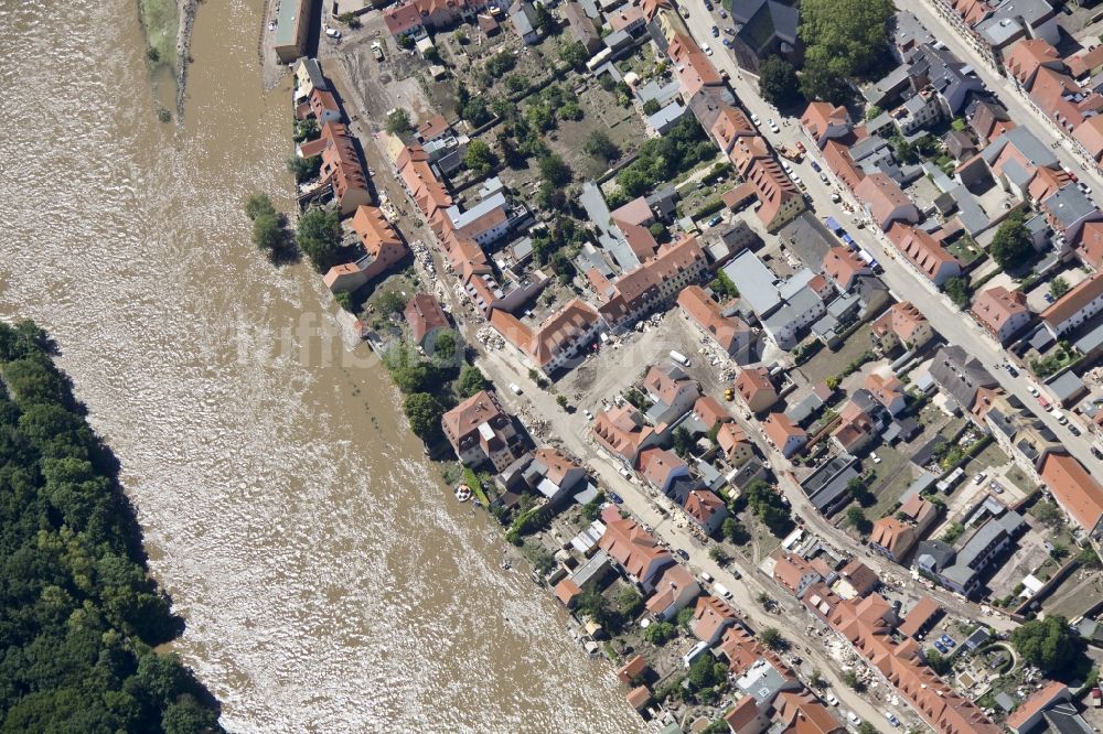 Grimma von oben - Hochwasser Flut Katastrophe mit Überflutung der Ufer der Mulde und Umland bei Grimma im Bundesland Sachsen