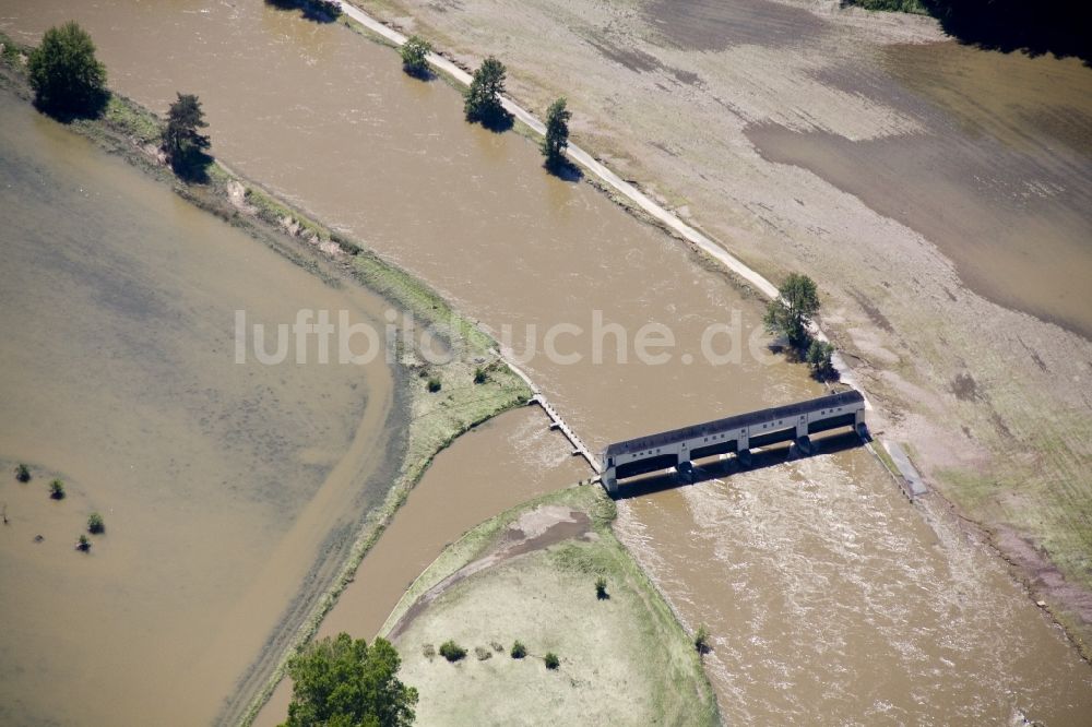 Luftbild Westewitz - Hochwasser Flut Katastrophe mit Überflutung der Ufer der Mulde und Umland bei Westewitz im Bundesland Sachsen