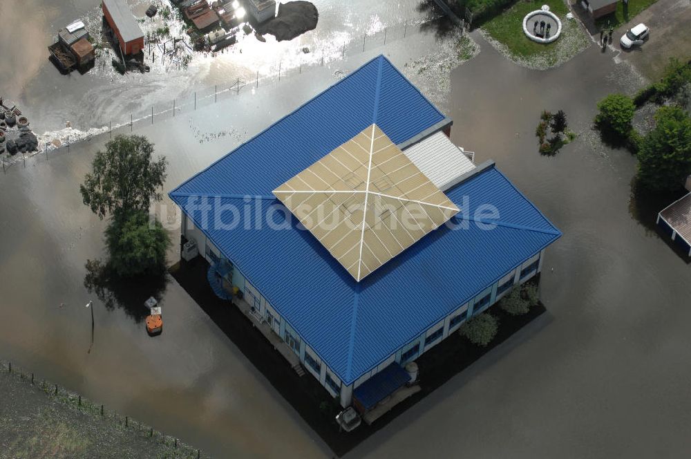 Luftbild Frankfurt / Oder - Hochwasser 2010 in Frankfurt / Oder im Bundesland Brandenburg