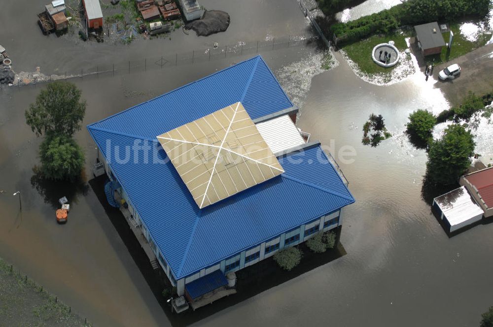 Luftaufnahme Frankfurt / Oder - Hochwasser 2010 in Frankfurt / Oder im Bundesland Brandenburg