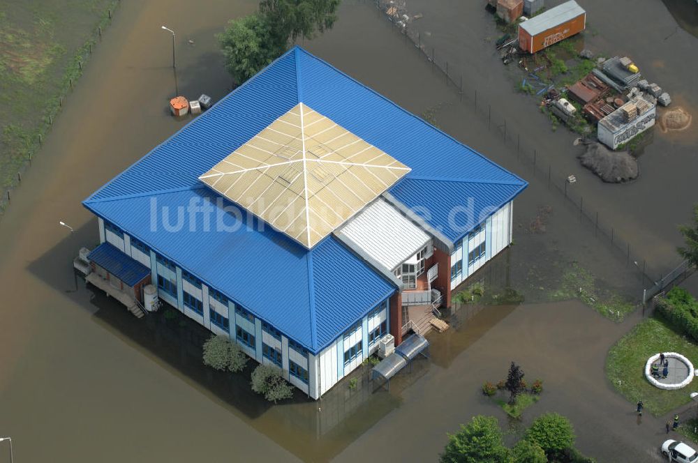 Frankfurt / Oder aus der Vogelperspektive: Hochwasser 2010 in Frankfurt / Oder im Bundesland Brandenburg