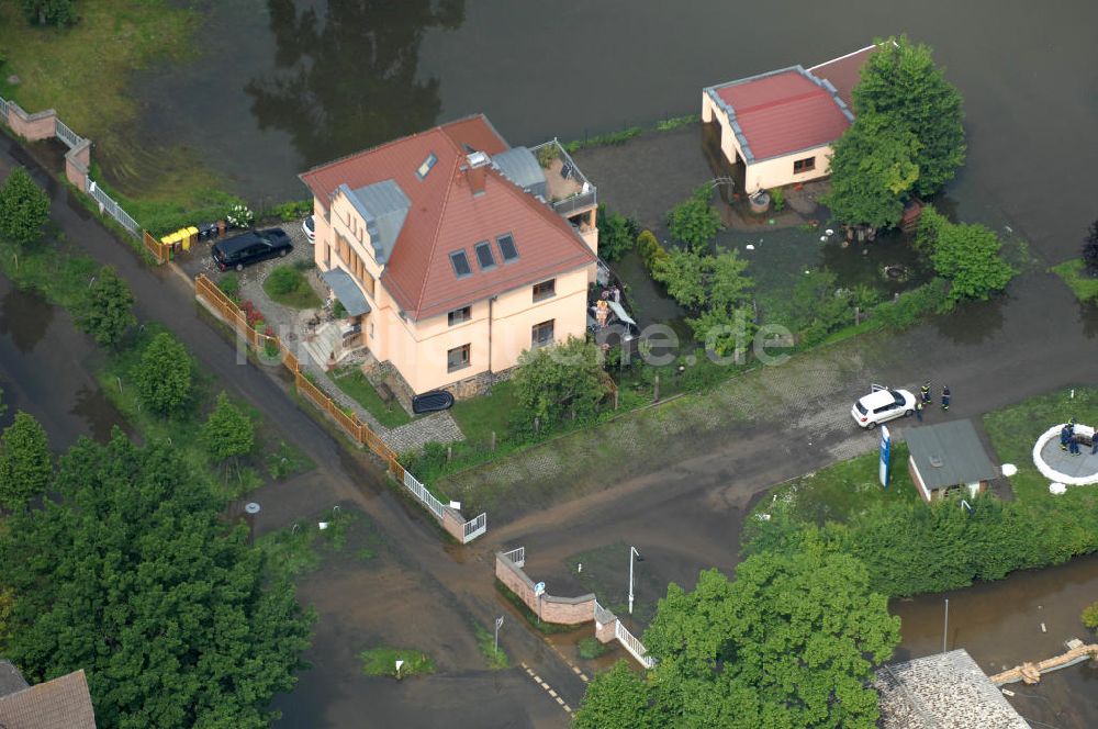 Luftbild Frankfurt / Oder - Hochwasser 2010 in Frankfurt / Oder im Bundesland Brandenburg