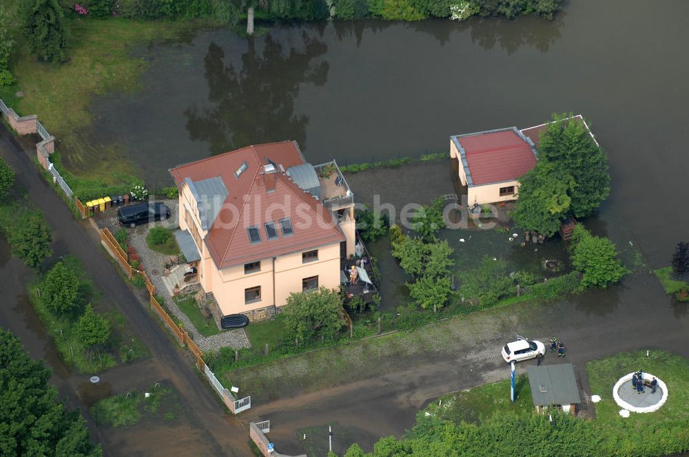 Luftaufnahme Frankfurt / Oder - Hochwasser 2010 in Frankfurt / Oder im Bundesland Brandenburg