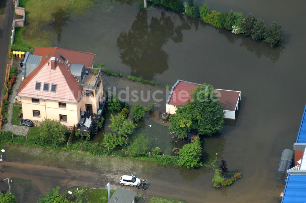 Frankfurt / Oder aus der Vogelperspektive: Hochwasser 2010 in Frankfurt / Oder im Bundesland Brandenburg