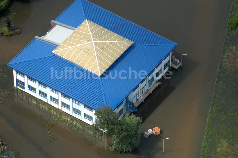 Luftaufnahme Frankfurt / Oder - Hochwasser 2010 in Frankfurt / Oder im Bundesland Brandenburg