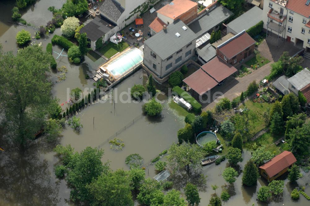 Frankfurt / Oder aus der Vogelperspektive: Hochwasser 2010 in Frankfurt / Oder im Bundesland Brandenburg