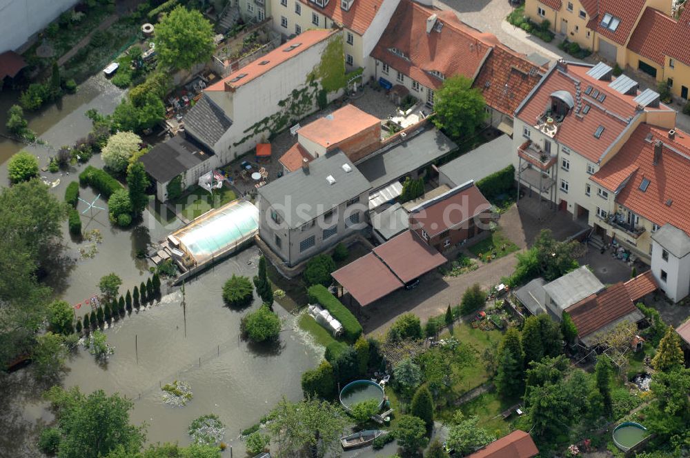 Luftbild Frankfurt / Oder - Hochwasser 2010 in Frankfurt / Oder im Bundesland Brandenburg