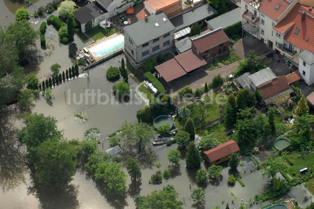 Luftaufnahme Frankfurt / Oder - Hochwasser 2010 in Frankfurt / Oder im Bundesland Brandenburg