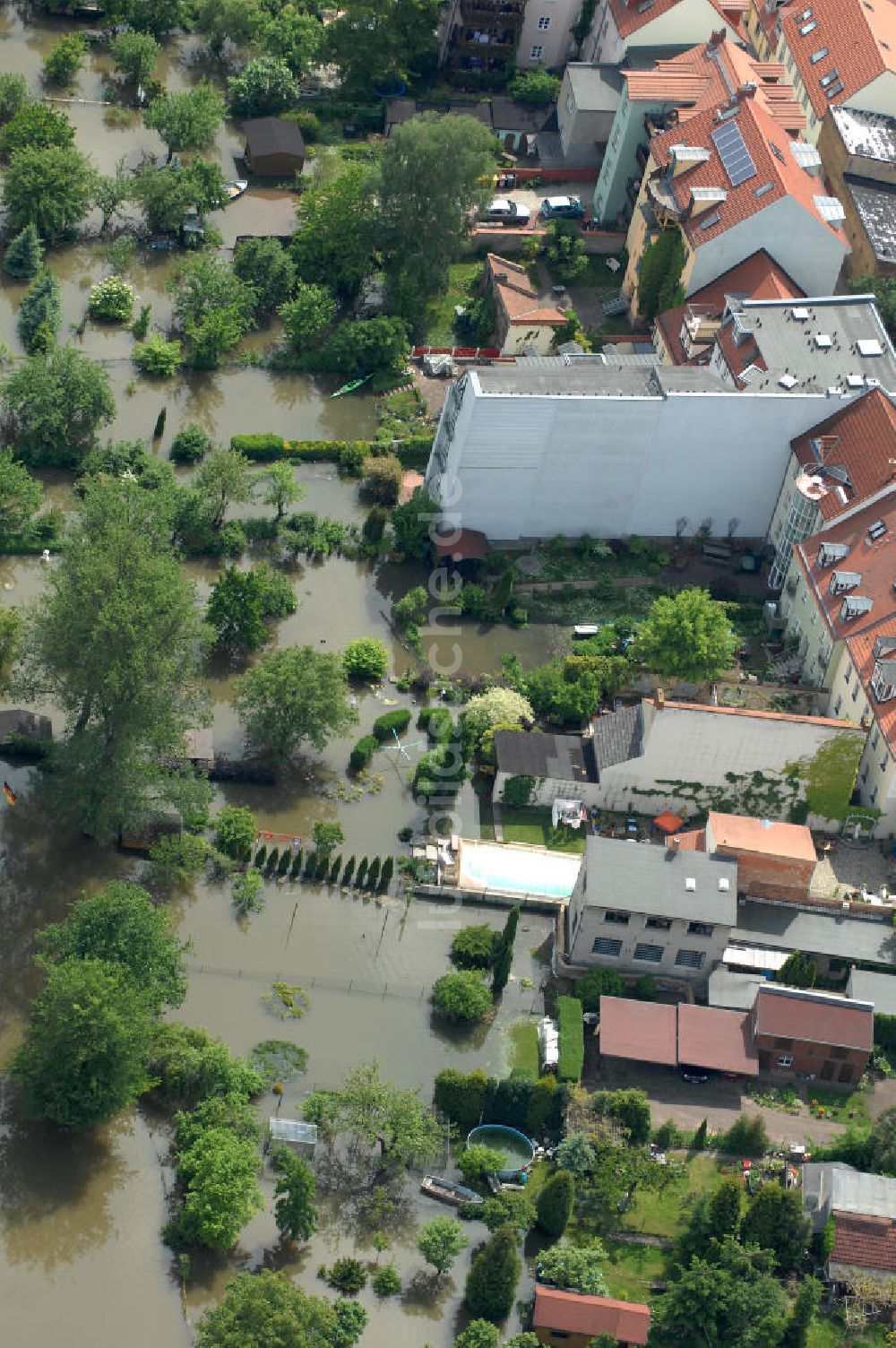 Frankfurt / Oder von oben - Hochwasser 2010 in Frankfurt / Oder im Bundesland Brandenburg