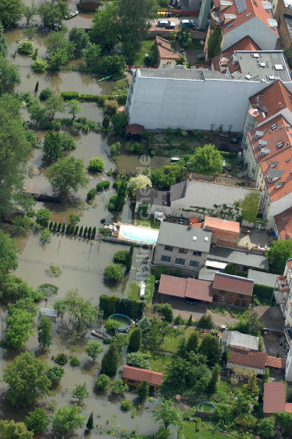 Frankfurt / Oder aus der Vogelperspektive: Hochwasser 2010 in Frankfurt / Oder im Bundesland Brandenburg