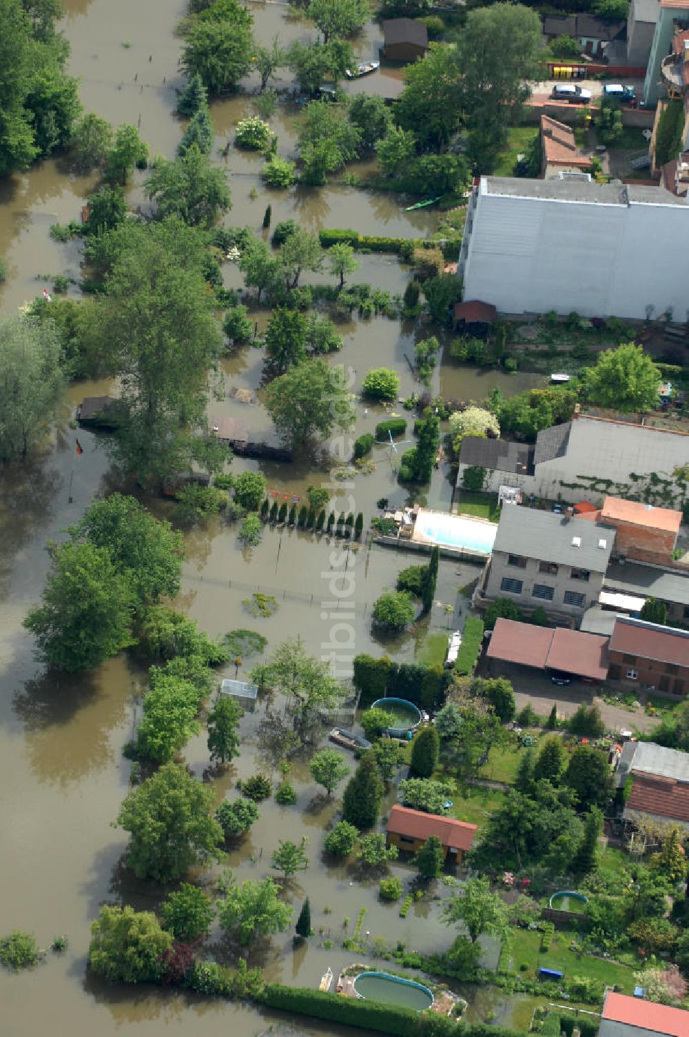 Luftbild Frankfurt / Oder - Hochwasser 2010 in Frankfurt / Oder im Bundesland Brandenburg