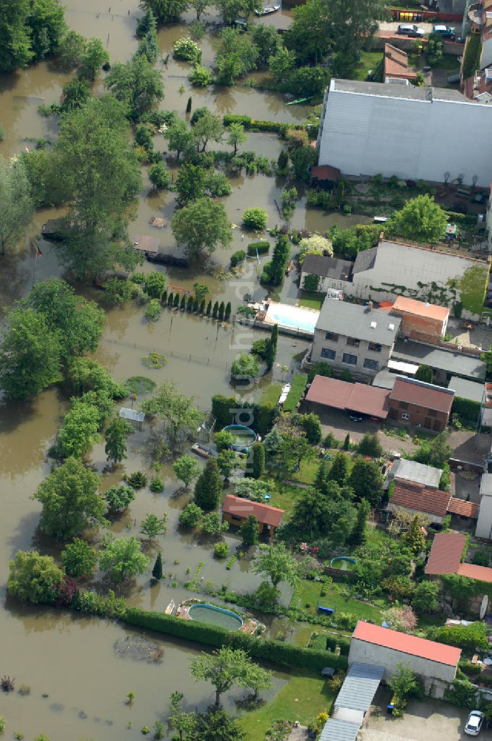 Luftaufnahme Frankfurt / Oder - Hochwasser 2010 in Frankfurt / Oder im Bundesland Brandenburg