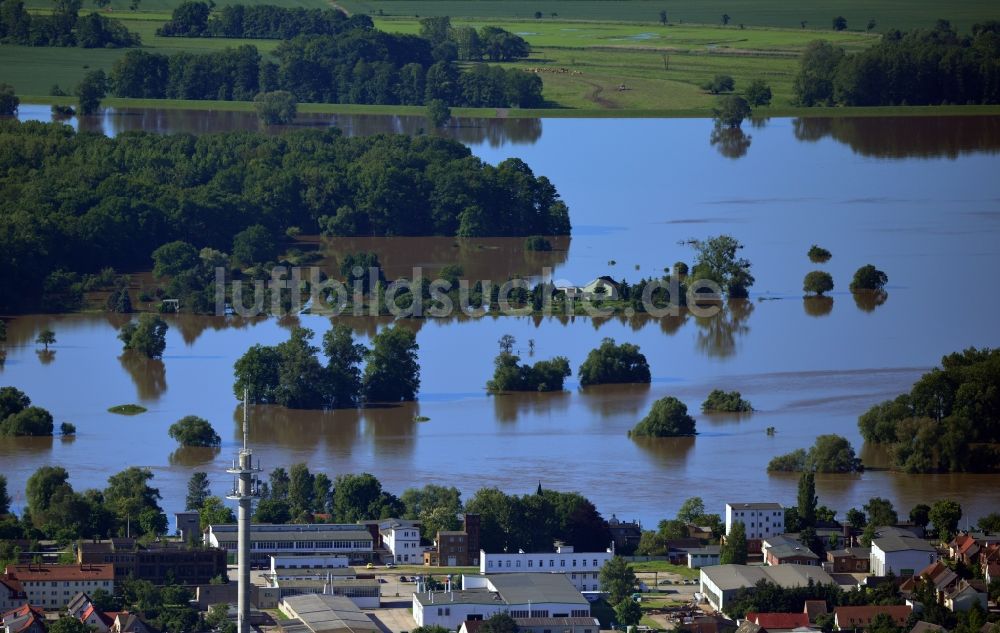 Wittenberg aus der Vogelperspektive: Hochwasser Landschaft mit Pegel - Situation durch Überschwemmung und Übertritt der Ufer der Elbe bei Wittenberg im Bundesland Sachsen-Anhalt