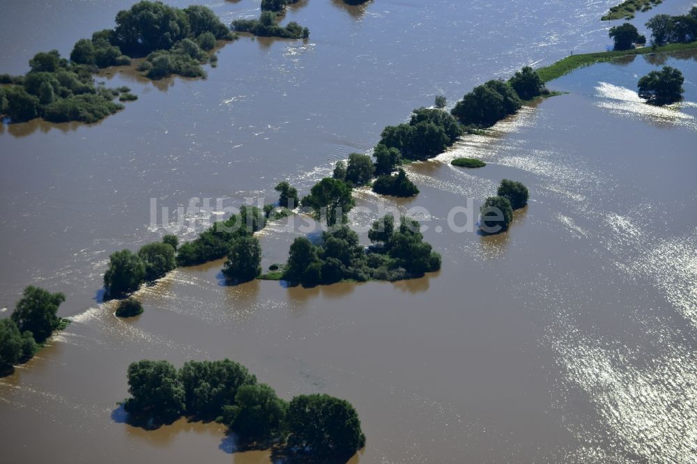 Wittenberg aus der Vogelperspektive: Hochwasser Landschaft mit Pegel - Situation durch Überschwemmung und Übertritt der Ufer der Elbe bei Wittenberg im Bundesland Sachsen-Anhalt