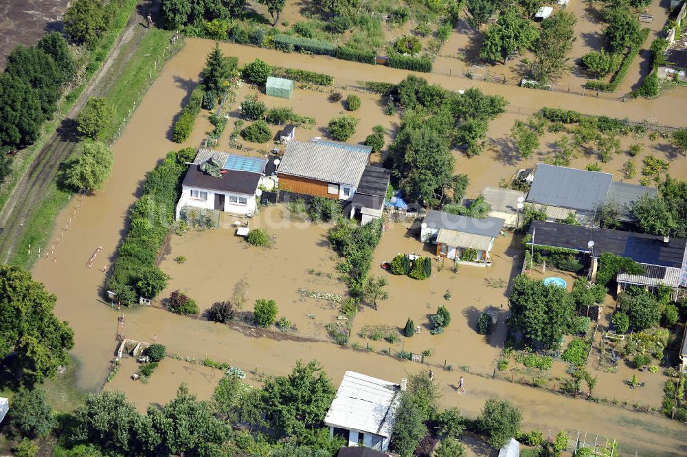 Luftaufnahme Forst - Hochwasser der Neiße in Forst / Lausitz