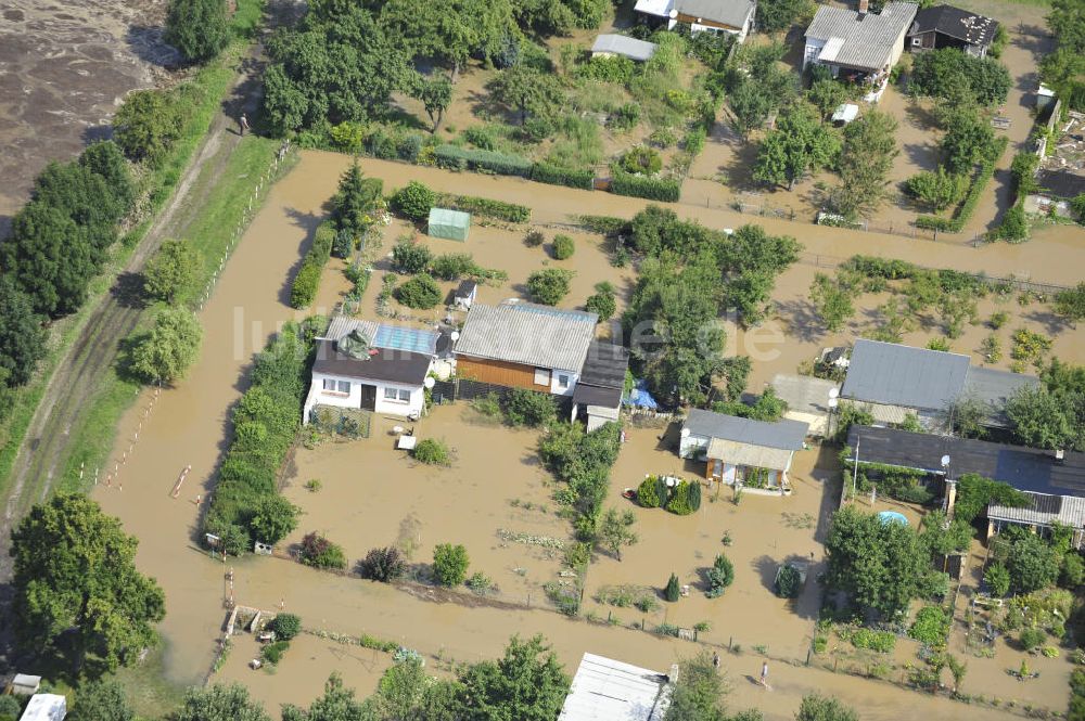 Forst von oben - Hochwasser der Neiße in Forst / Lausitz