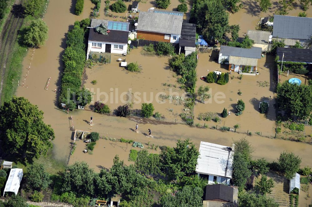 Forst von oben - Hochwasser der Neiße in Forst / Lausitz