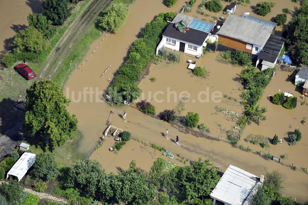 Forst aus der Vogelperspektive: Hochwasser der Neiße in Forst / Lausitz