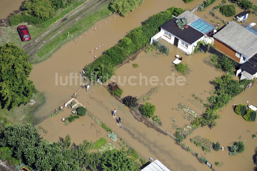 Luftbild Forst - Hochwasser der Neiße in Forst / Lausitz