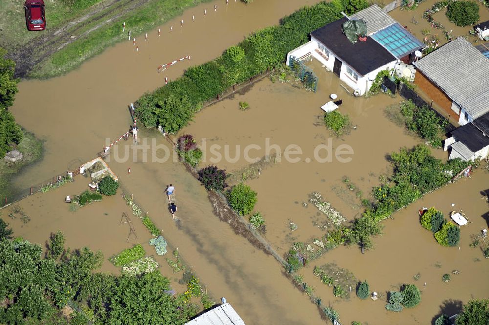 Luftaufnahme Forst - Hochwasser der Neiße in Forst / Lausitz