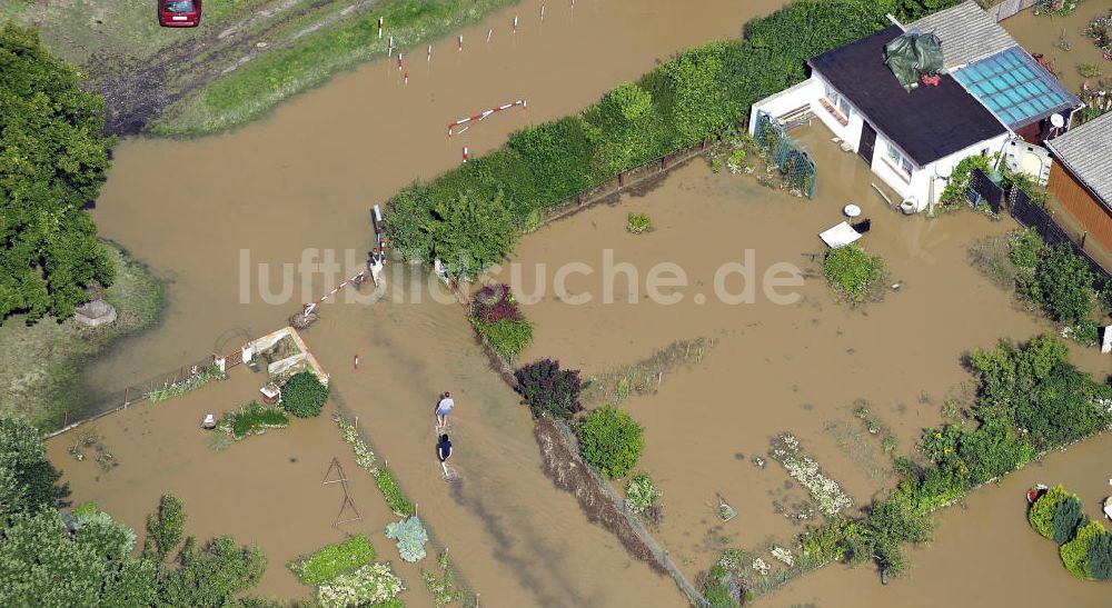 Forst aus der Vogelperspektive: Hochwasser der Neiße in Forst / Lausitz