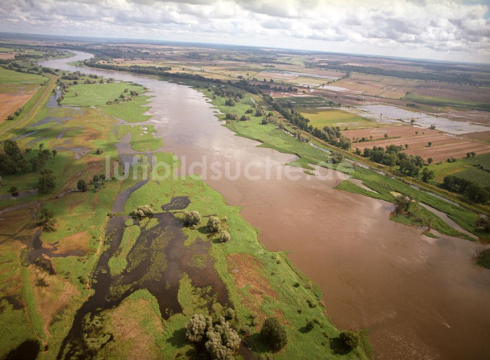 Luftbild Lebus - Hochwasser der Oder bei Lebus