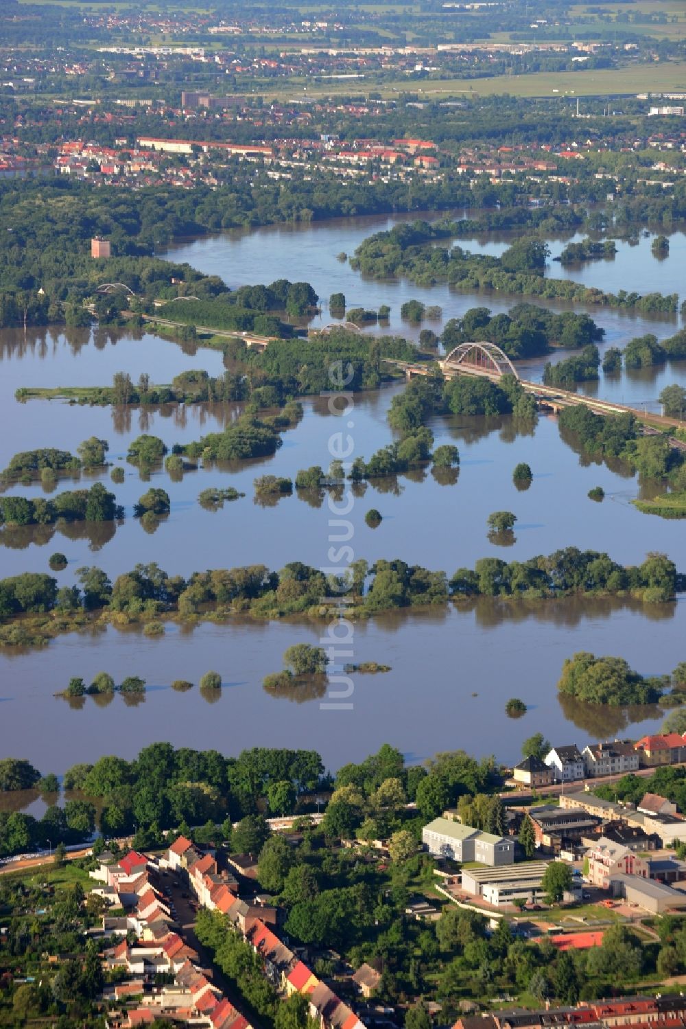 Luftbild Dessau-Roßlau - Hochwasser Pegel - Situation durch Überschwemmung und Übertritt der Ufer der Elbe bei Dessau-Roßlau im Bundesland Sachsen-Anhalt