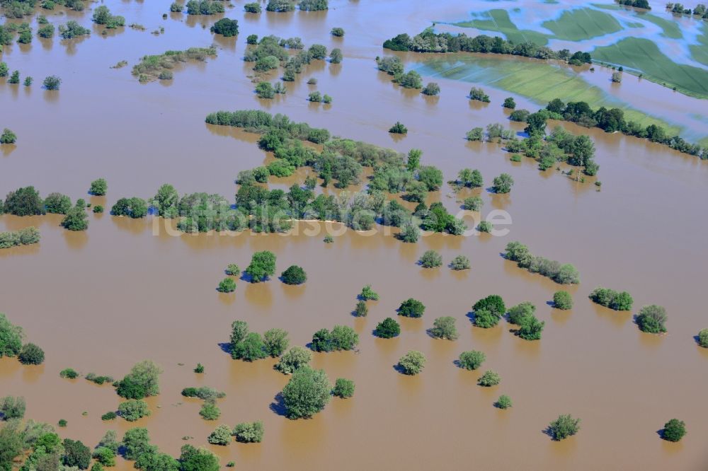 Glaucha OT Oberglaucha aus der Vogelperspektive: Hochwasser Pegel - Situation durch Überschwemmung und Übertritt der Ufer der Mulde bei Glaucha OT Oberglaucha im Bundesland Sachsen