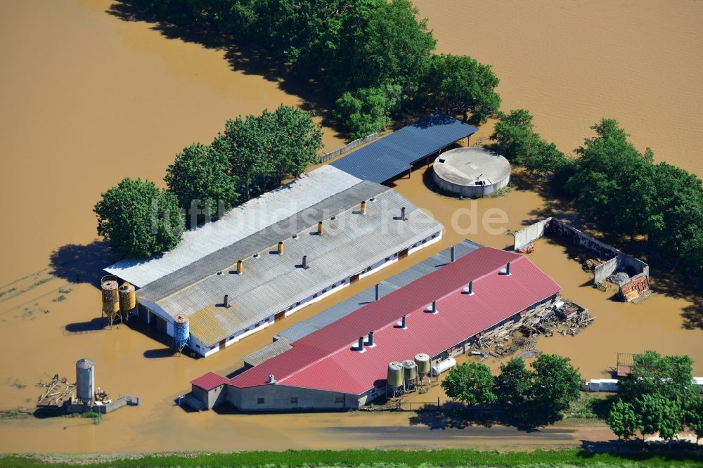 Glaucha OT Oberglaucha aus der Vogelperspektive: Hochwasser Pegel - Situation durch Überschwemmung und Übertritt der Ufer der Mulde bei Glaucha OT Oberglaucha im Bundesland Sachsen