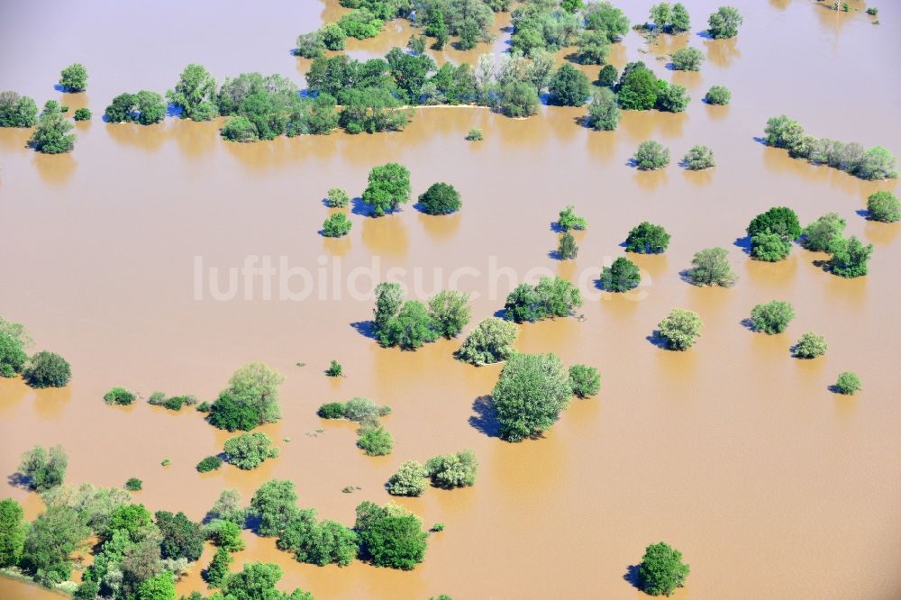 Luftbild Glaucha OT Oberglaucha - Hochwasser Pegel - Situation durch Überschwemmung und Übertritt der Ufer der Mulde bei Glaucha OT Oberglaucha im Bundesland Sachsen