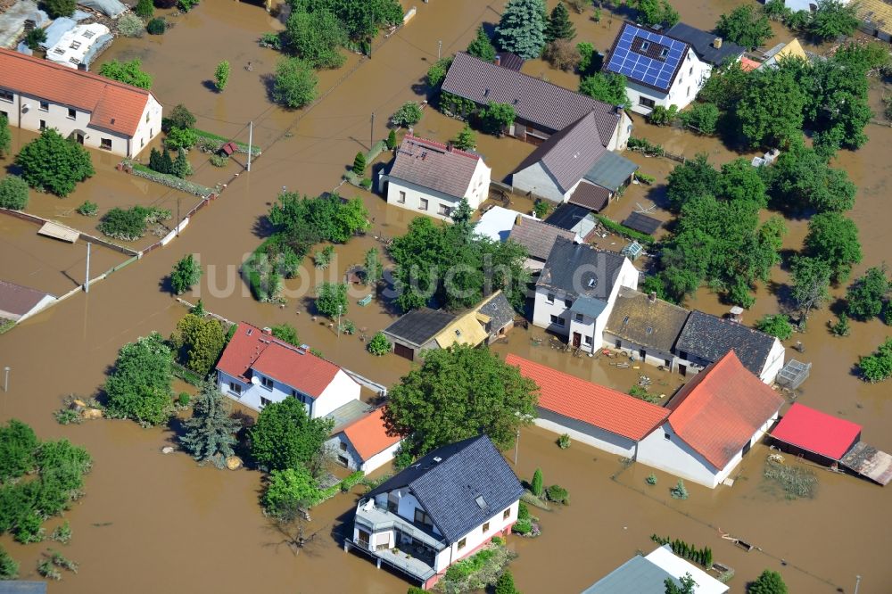 Luftbild Gruna - Hochwasser Pegel - Situation durch Überschwemmung und Übertritt der Ufer der Mulde bei Gruna im Bundesland Sachsen