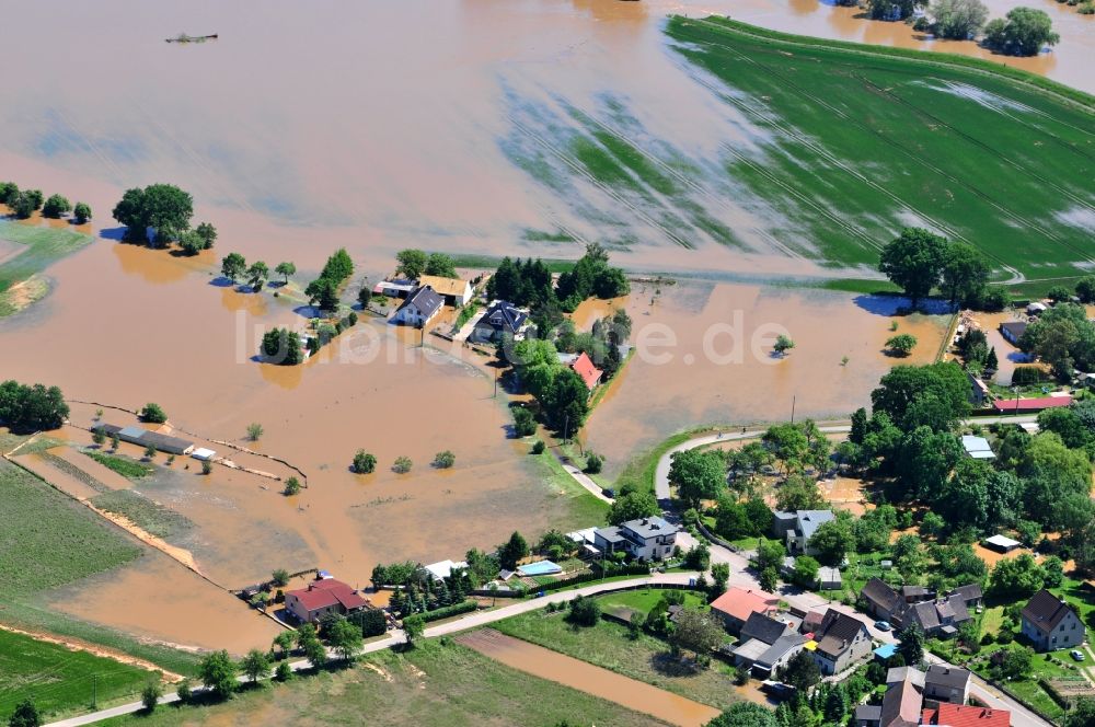 Luftbild Hohenpreßnitz - Hochwasser Pegel - Situation durch Überschwemmung und Übertritt der Ufer der Mulde bei Hohenpreßnitz im Bundesland Sachsen