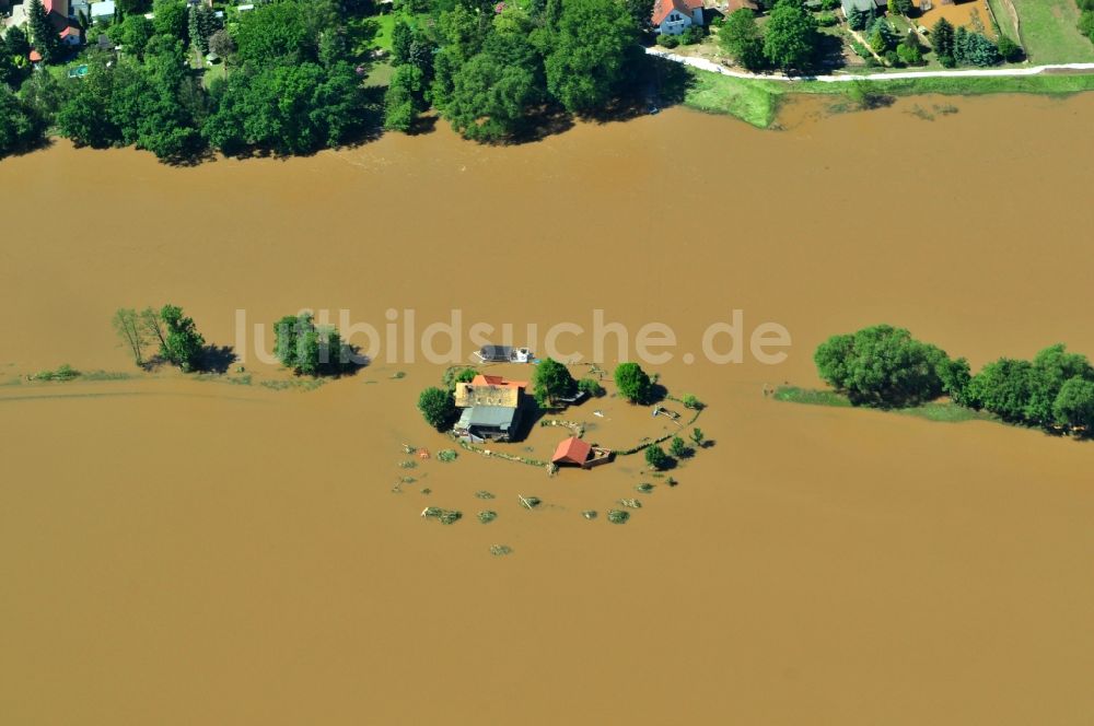 Luftbild Hohenpreßnitz - Hochwasser Pegel - Situation durch Überschwemmung und Übertritt der Ufer der Mulde bei Hohenpreßnitz im Bundesland Sachsen