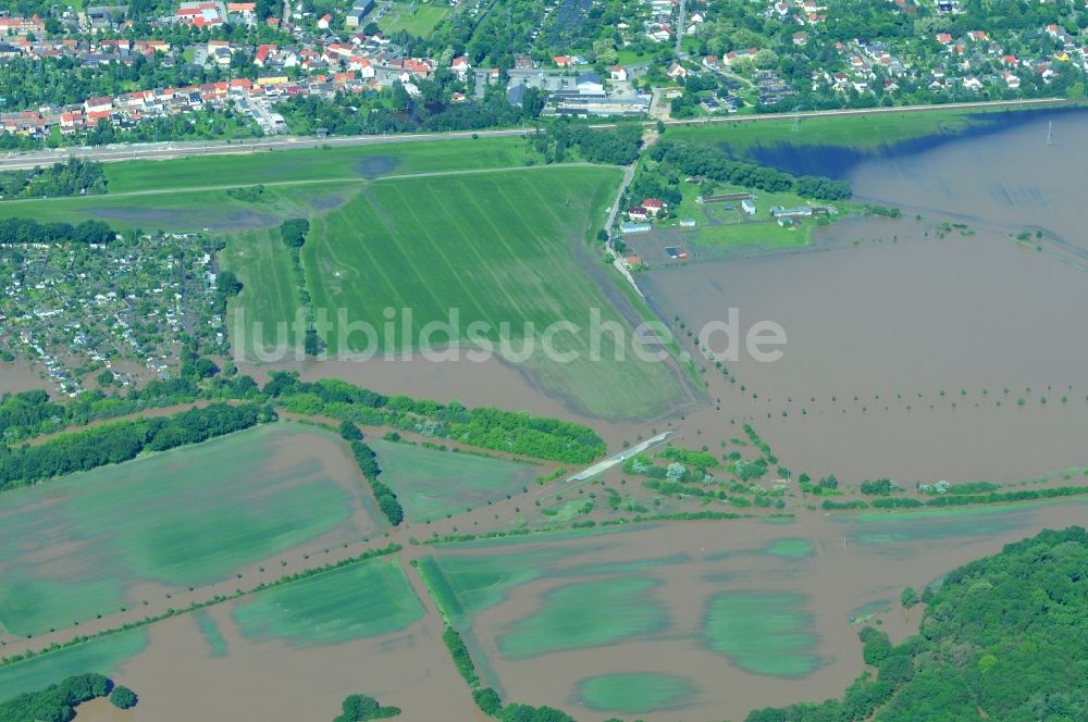 Jeßnitz von oben - Hochwasser Pegel - Situation durch Überschwemmung und Übertritt der Ufer der Mulde bei Jeßnitz im Bundesland Sachsen-Anhalt