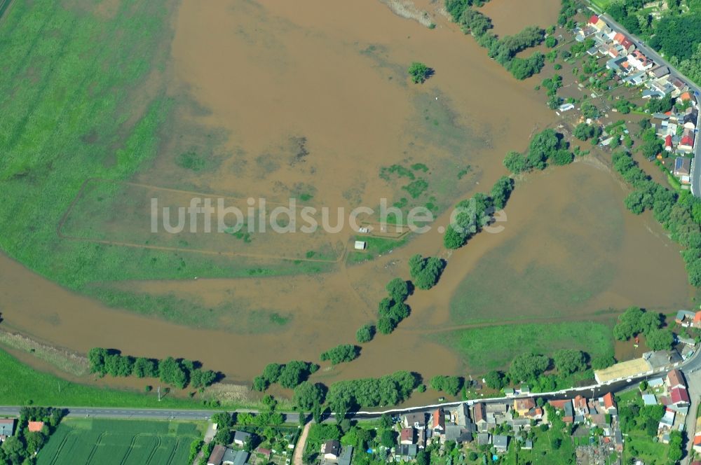 Luftbild Jeßnitz - Hochwasser Pegel - Situation durch Überschwemmung und Übertritt der Ufer der Mulde bei Jeßnitz im Bundesland Sachsen-Anhalt