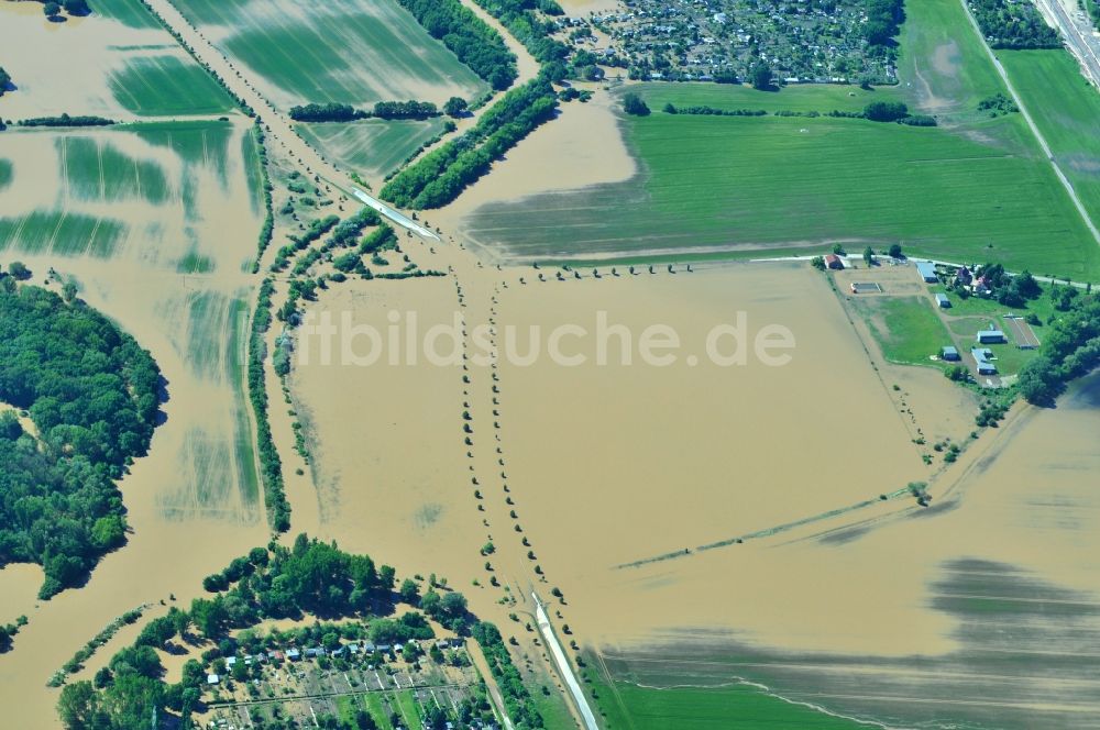 Jeßnitz von oben - Hochwasser Pegel - Situation durch Überschwemmung und Übertritt der Ufer der Mulde bei Jeßnitz im Bundesland Sachsen-Anhalt