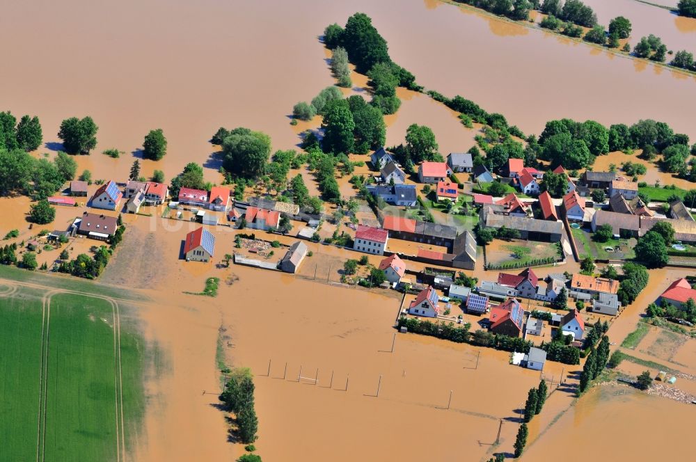 Luftaufnahme Laußig - Hochwasser Pegel - Situation durch Überschwemmung und Übertritt der Ufer der Mulde bei Laußig im Bundesland Sachsen